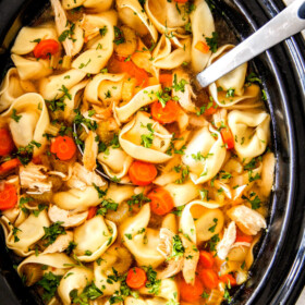 cheese tortellini, carrots, celery, onions, garlic and spices in crockpot with soup ladle for This is the BEST Slow Cooker Chicken Tortellini Soup you will ever try!ย It's super easy, seasoned to perfection and a comforting, satisfying dinner any night of the week!ย ย