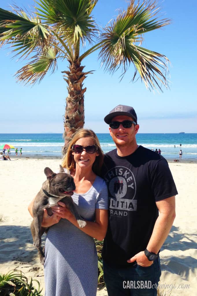 easy chicken enchiladas