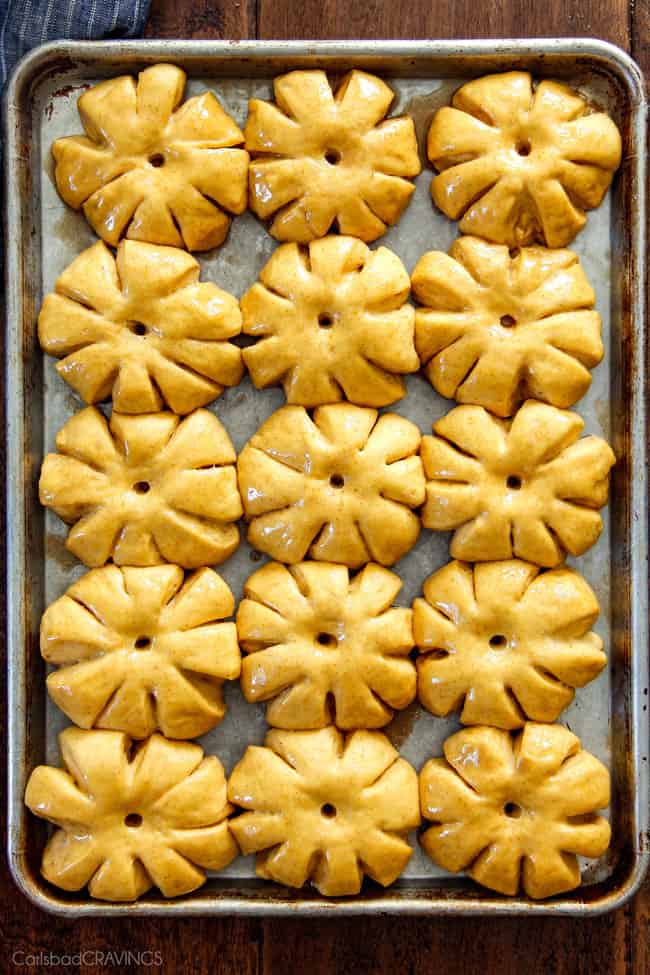 Fluffy, soft and tender Pumpkin in Dinner Rolls will be the talk of your Thanksgiving Table! Adorably delicious and easier than you might think!