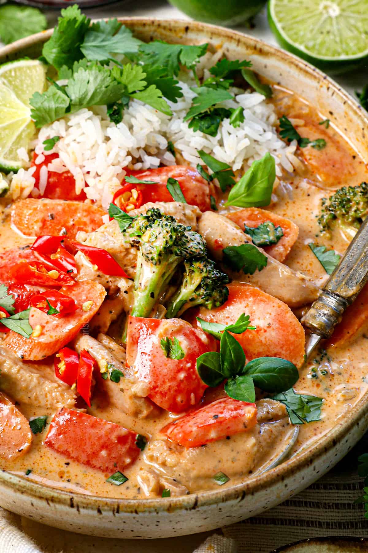 showing how to serve Thai chicken curry in a bowl with rice, cilantro and green onions