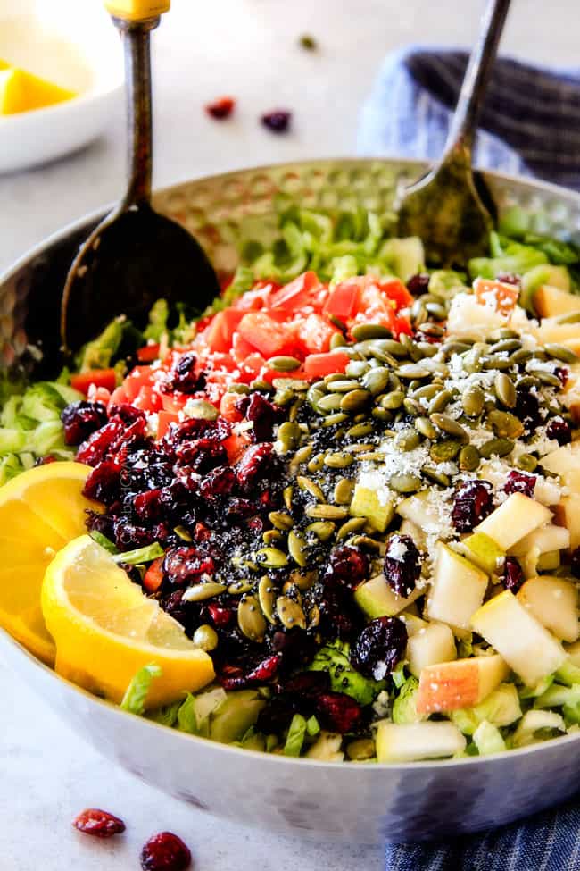 Cranberry Apple Brussels Sprouts Salad in a bowl.