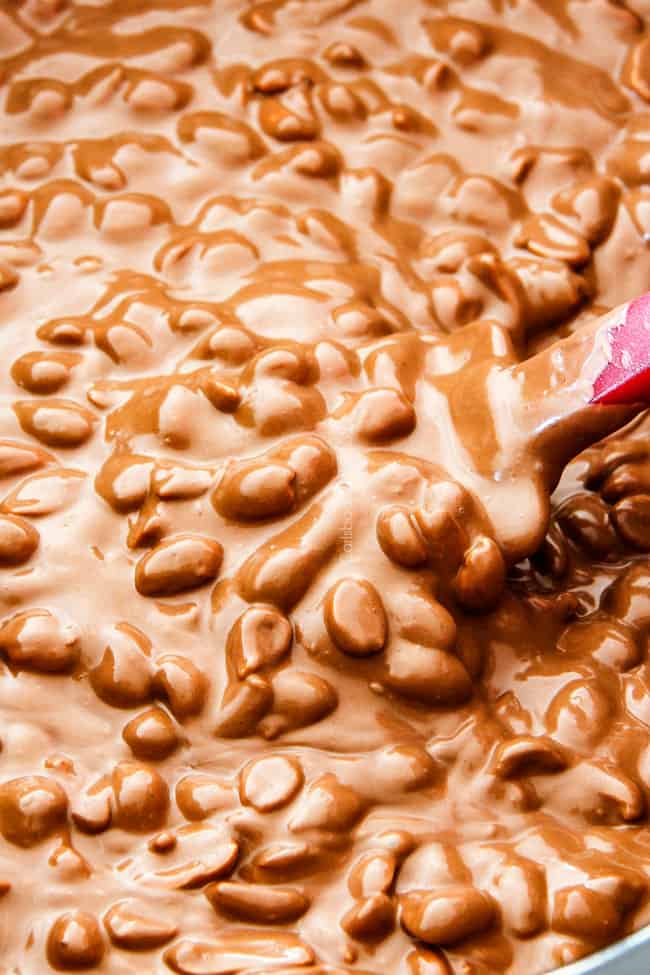 FOOL PROOF Crockpot Chocolate Peanut Clusters are not only crazy delicious but are SO easy!ย They make the best make ahead, stress free gifts!ย This post also includes tips and tricks to make them successful every time!