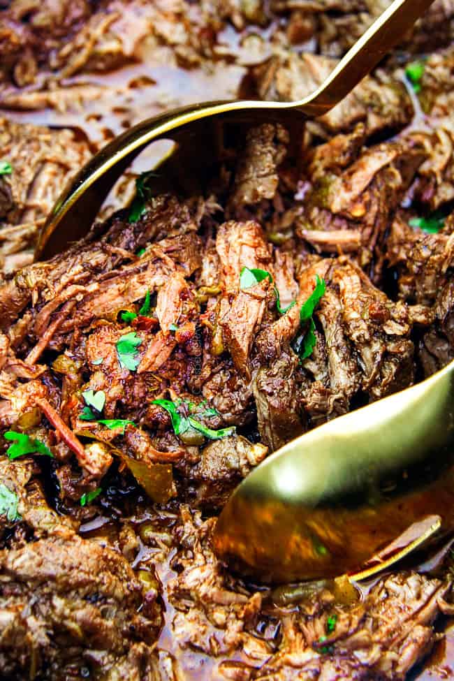 Close up of shredded Chipotle Beef Barbacoa