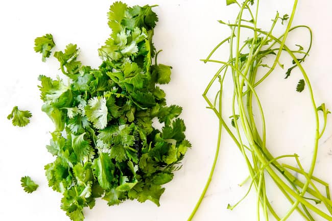 showing how to make pico de gallo by taking cilantro leaves off of the stem