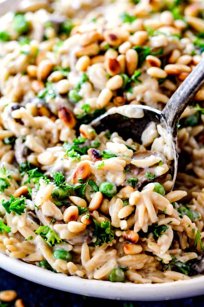 up close of a spoon scooping cheesy orzo pasta recipe in a white bowl