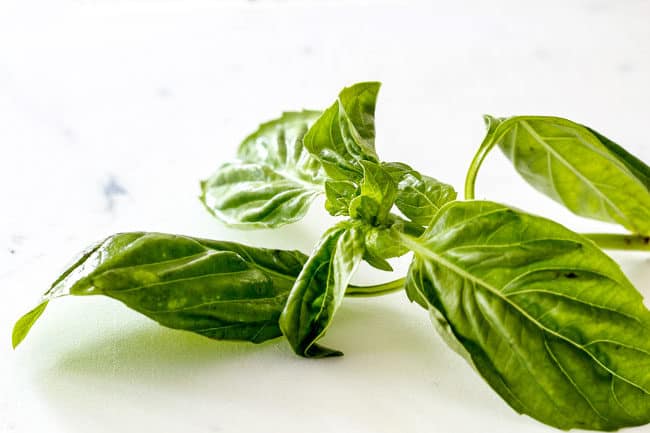 showing how to make lasagna by chopping fresh basil