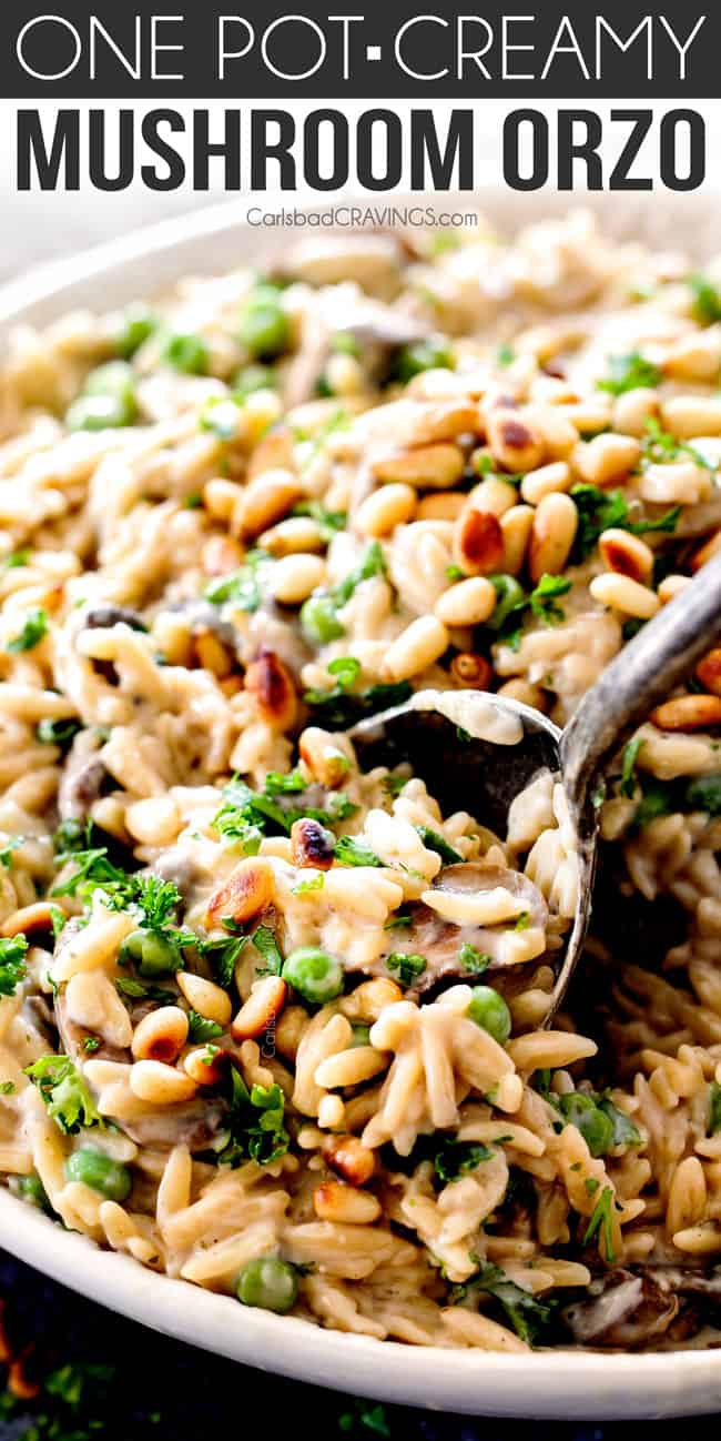 up close of a spoon scooping orzo pasta recipe with mushrooms and bacon