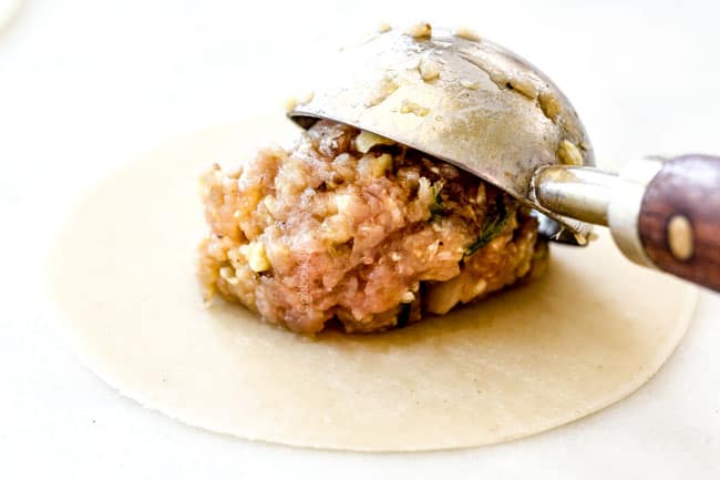 showing how to make potstickers by adding one tablespoon filling to dumpling wrapper