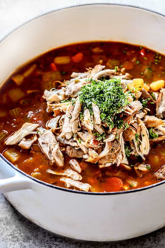 showing how to make Caldo de Pollo Mexicano (Mexican Chicken Soup) by adding sshredded chicken corn and cilantro to the pot