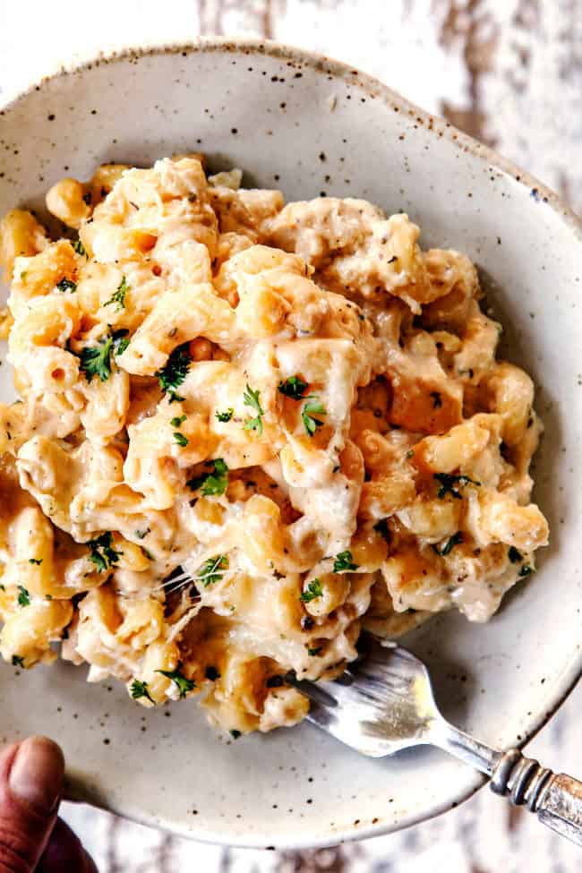 holding a plate of Chicken Alfredo recipe