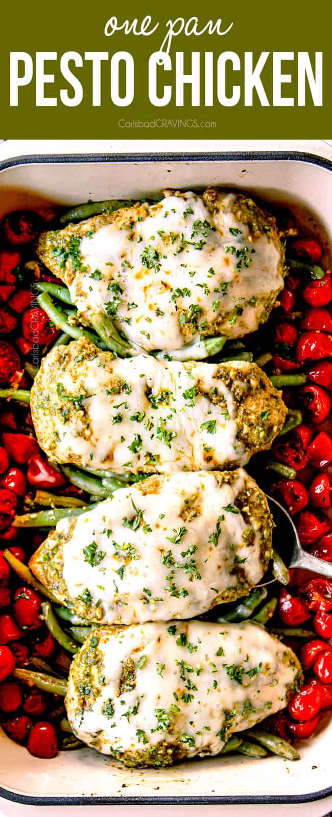 top view of pesto chicken bake in a 9x13 with totmatoes