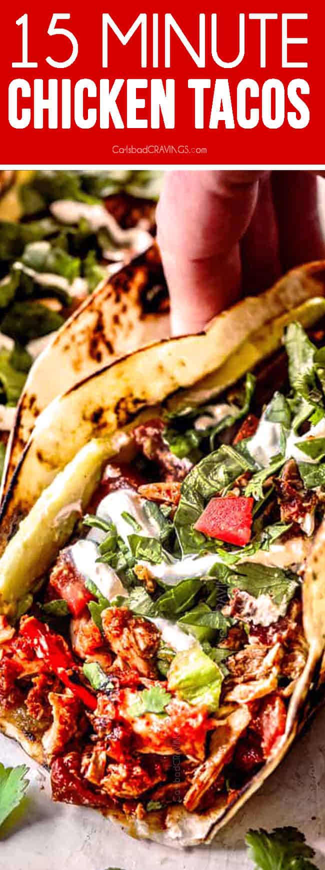 up close of shredded chicken tacos