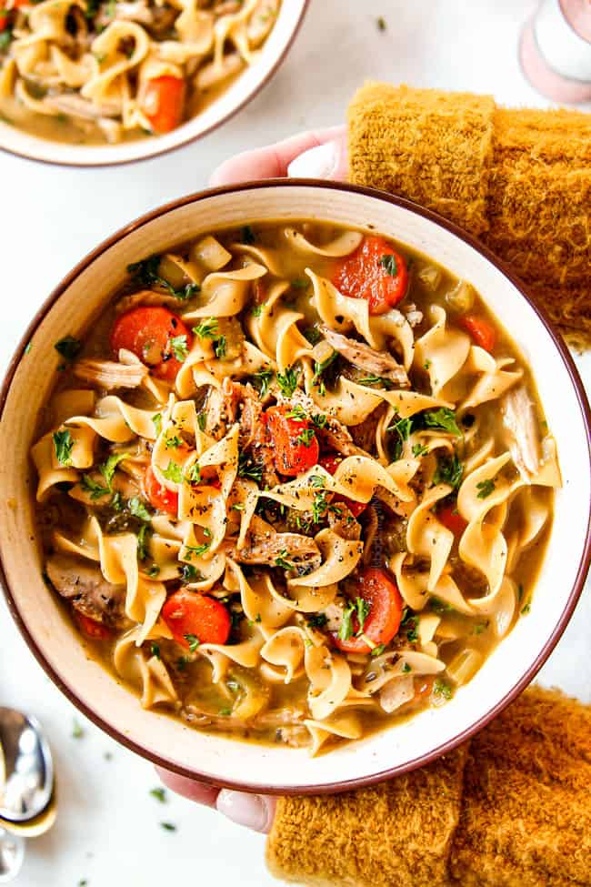 two hands holding a bowl of best chicken noodle soup recipe
