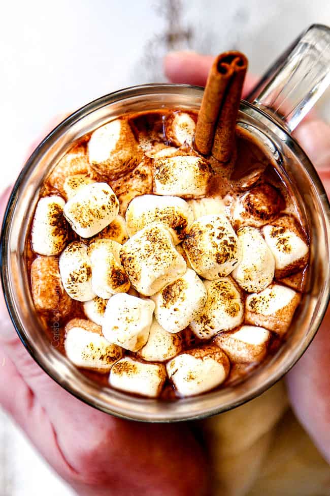 homemade hot chocolate with chocolate chips and cocoa in a mug
