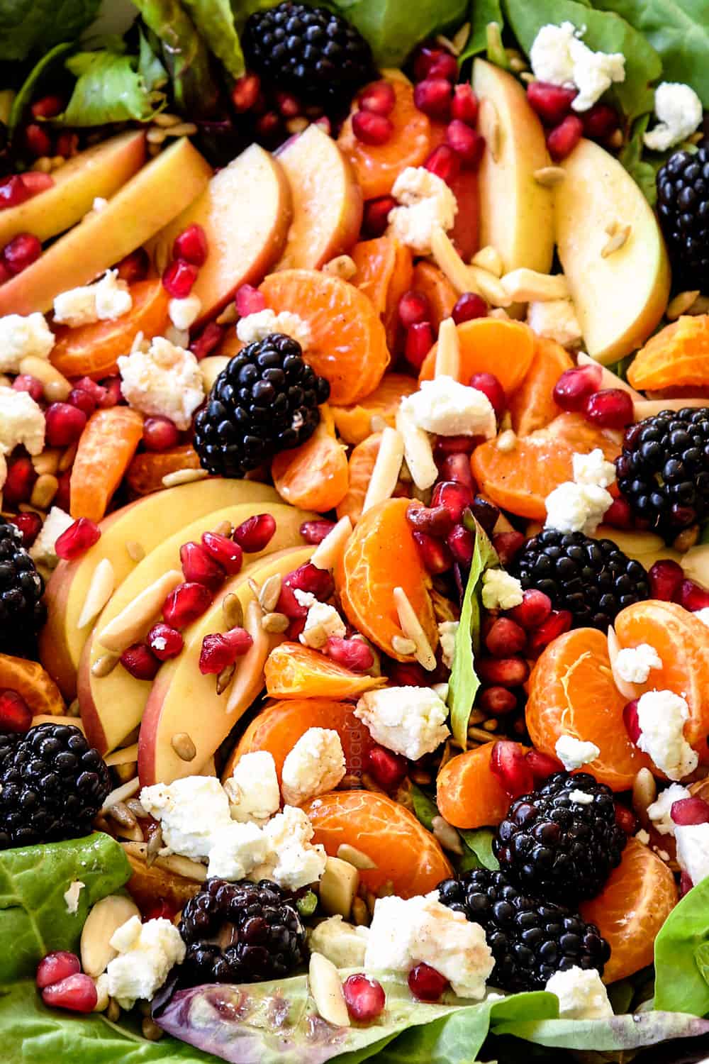 up close of mandarin orange salad recipe with mandarins, blackberries and goat cheese