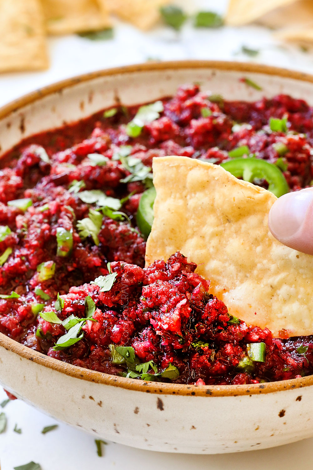 showing how to serve cranberry salsa in a bowl with tortilla chips