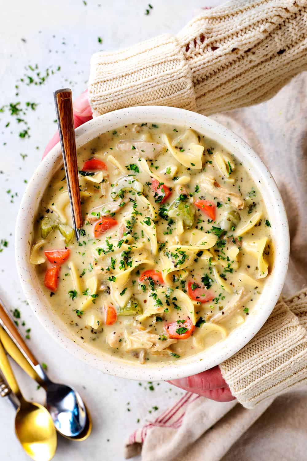 two hands holding a bowl of best creamy chicken noodle soup recipe
