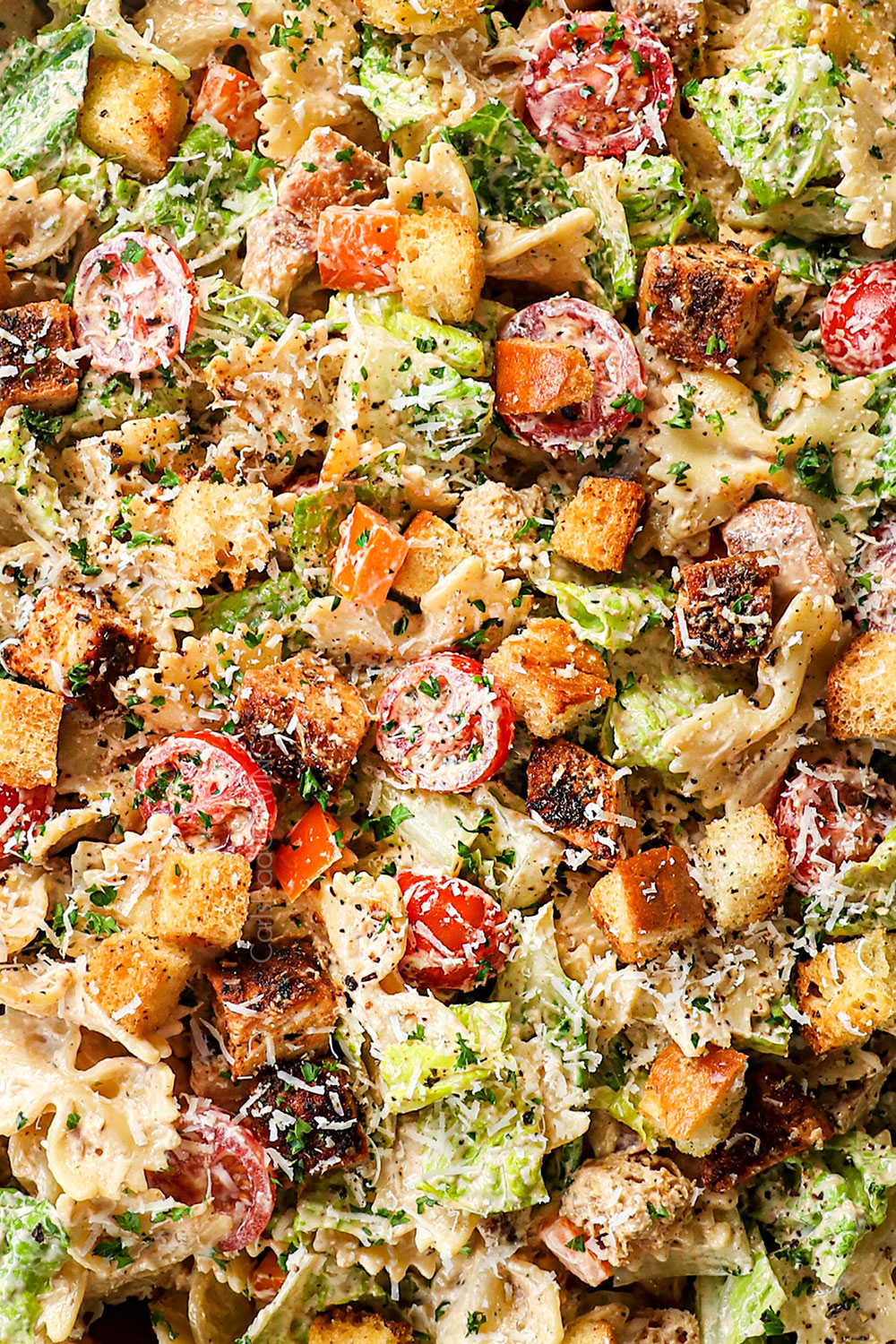 up close of Chicken Caesar Pasta Salad showing how creamy it is