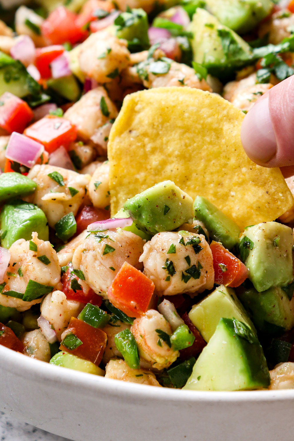 showing how to serve ceviche de camaraon (shrimp ceviche recipe) by scooping up with a tortilla chip