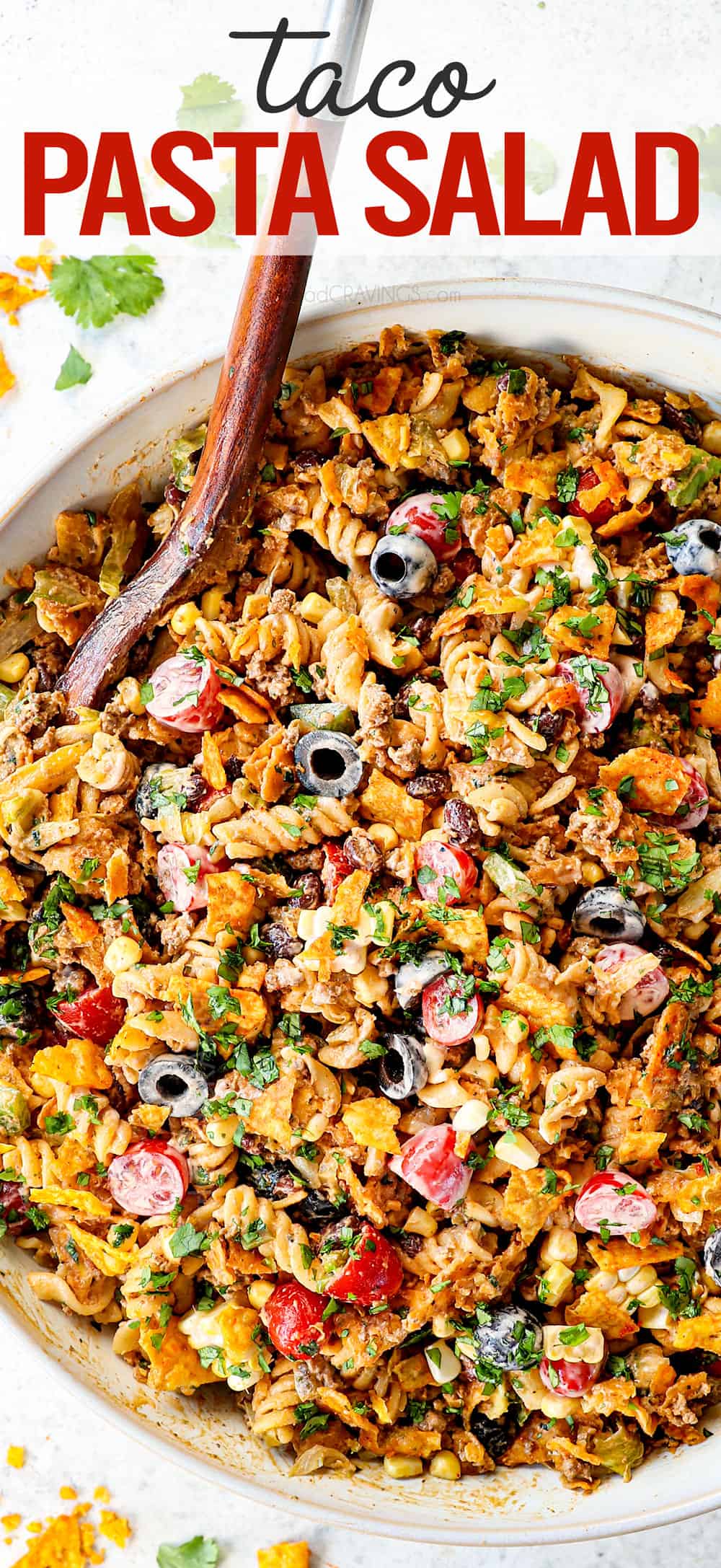top view of taco pasta salad recipe in a white bowl with pasta, ground beef, cheese, lettuce, black beans, corn, avocados, olives, jalapenos and cilantro