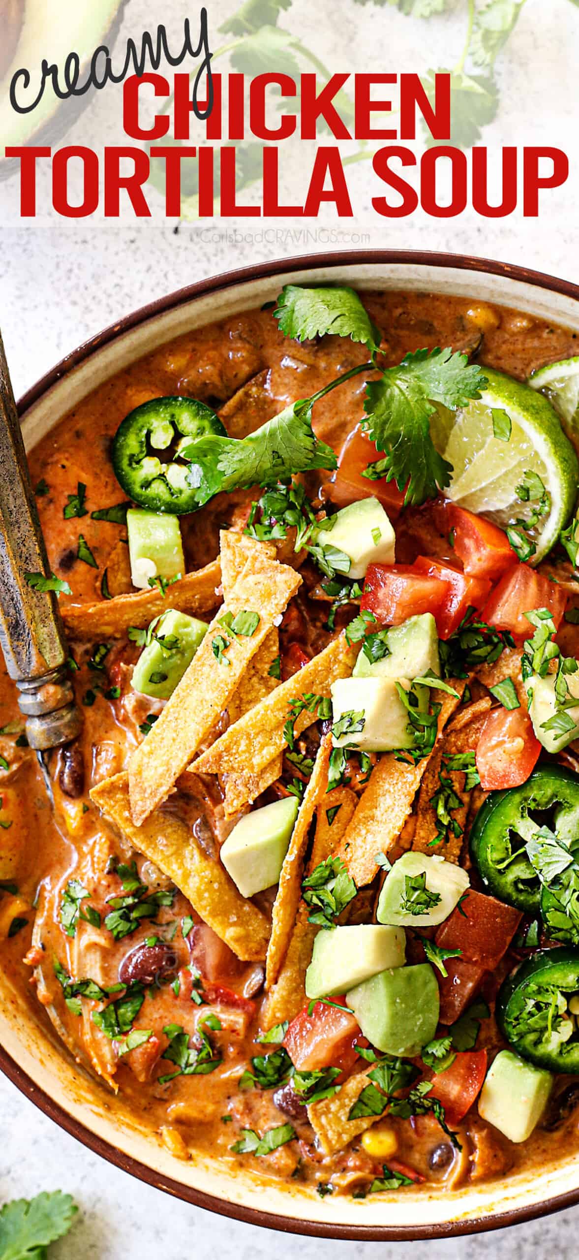 top view of creamy chicken tortilla soup recipe in a bowl being served with homemade tortilla strips, avocados and cilantro