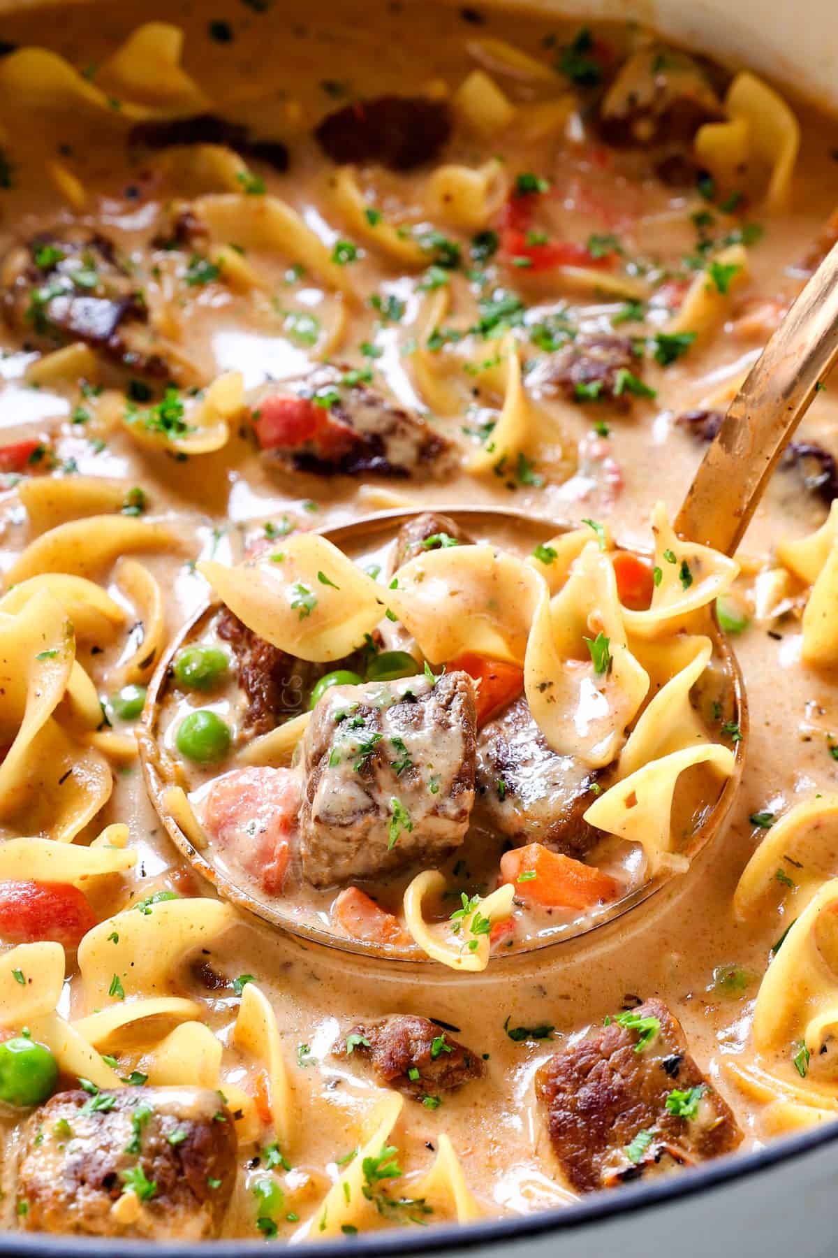 up close of a ladleful of soup showing how creamy the soup is