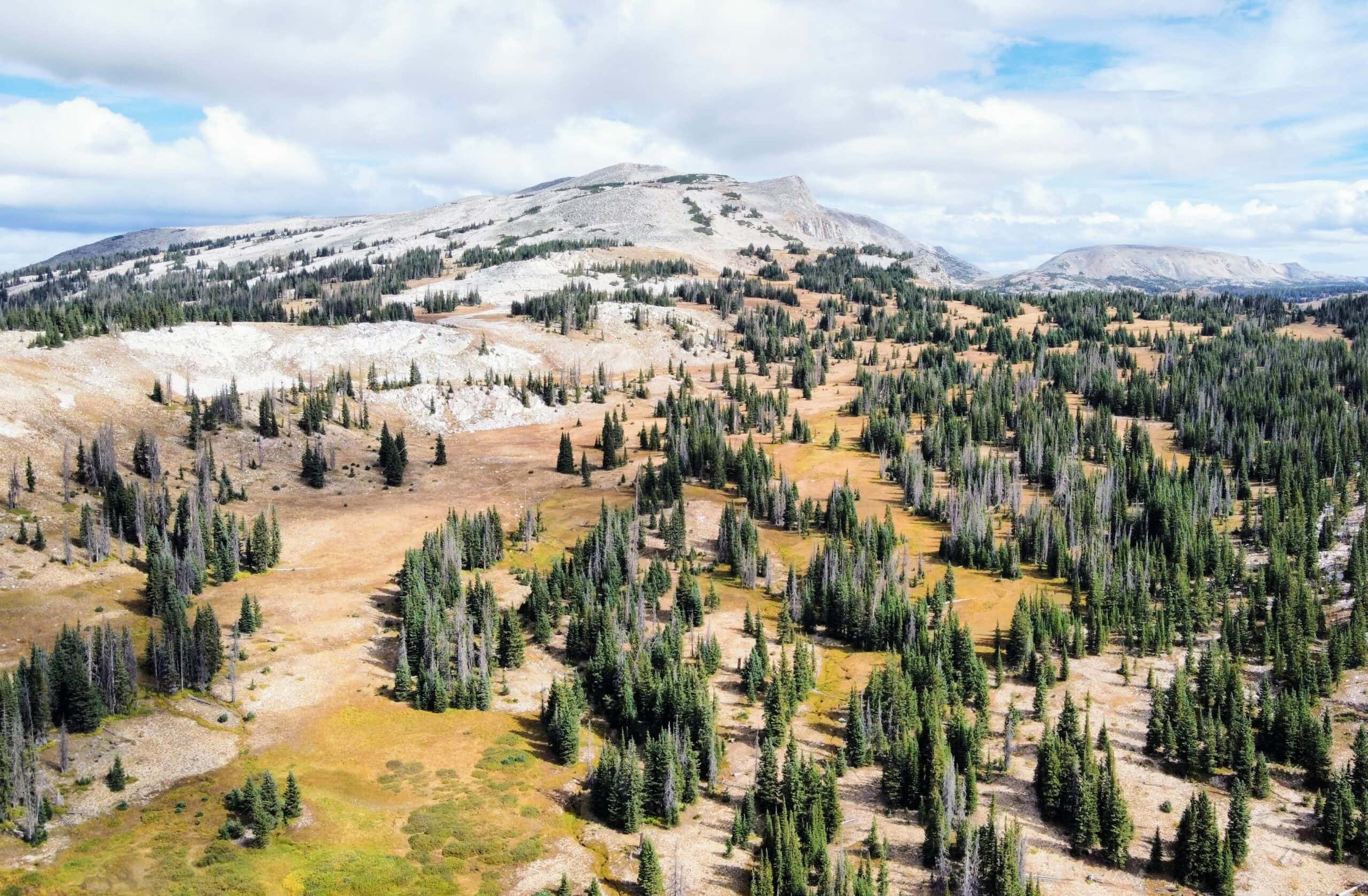 Wyoming Drone View - how to get paid to travel