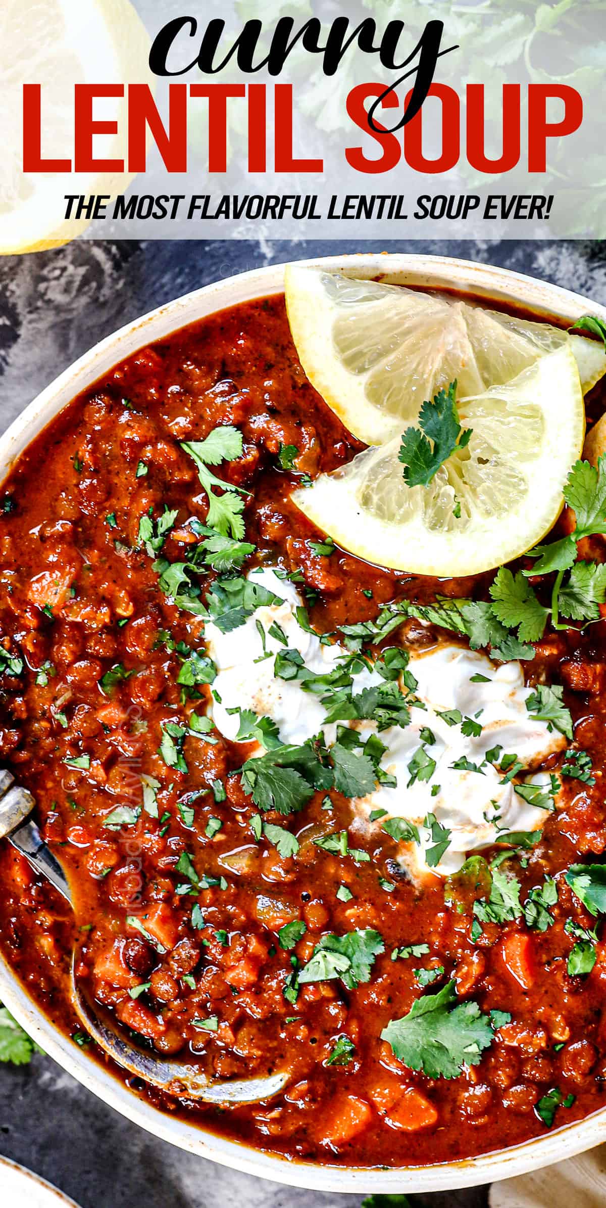 top view of best lentil soup recipe in a bowl garnished with lemon slices