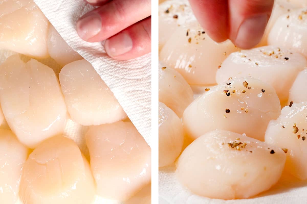 showing how to make pan seared scallops by patting scallops dy, then seasoning with salt and pepper