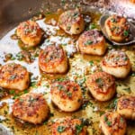 showing how to make pan seared scallops by drizzling with lemon garlic butter sauce