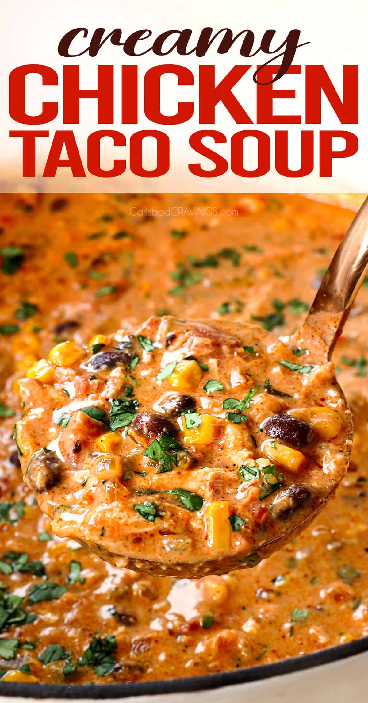 up close of a ladle of chicken taco soup showing how creamy it is