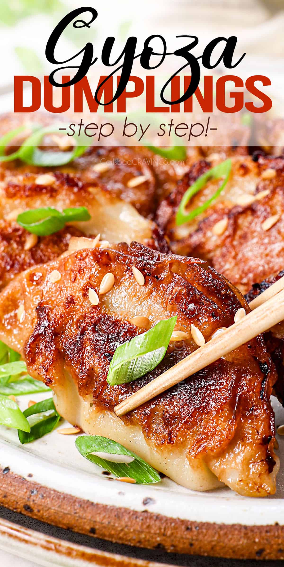 up close of gyoza showing the golden, crispy bottom
