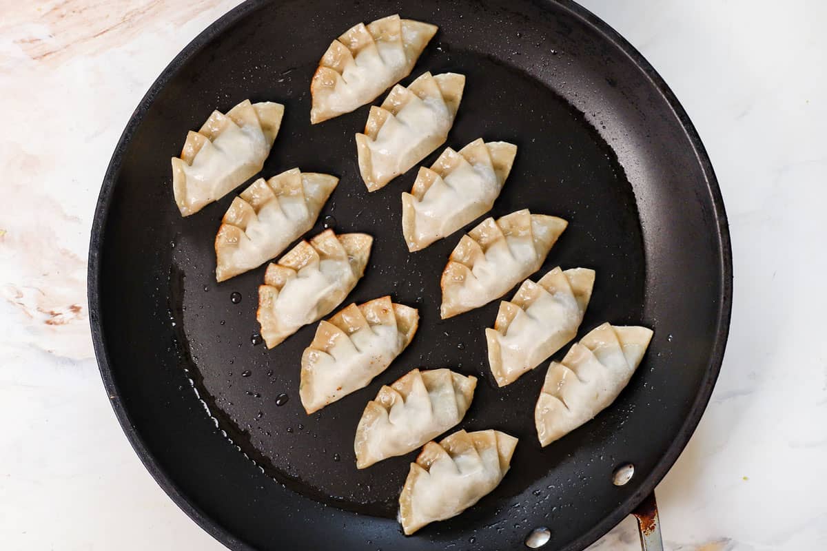 showing how to make gyoza recipe by browning the bottoms in a skillet with oil