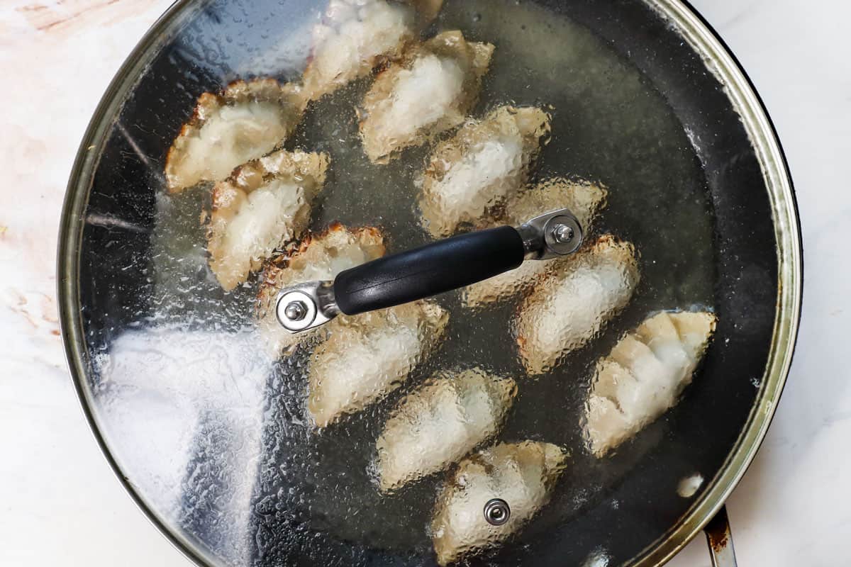 showing how to make gyoza recipe by steaming the dumplings in a skillet with the lid on