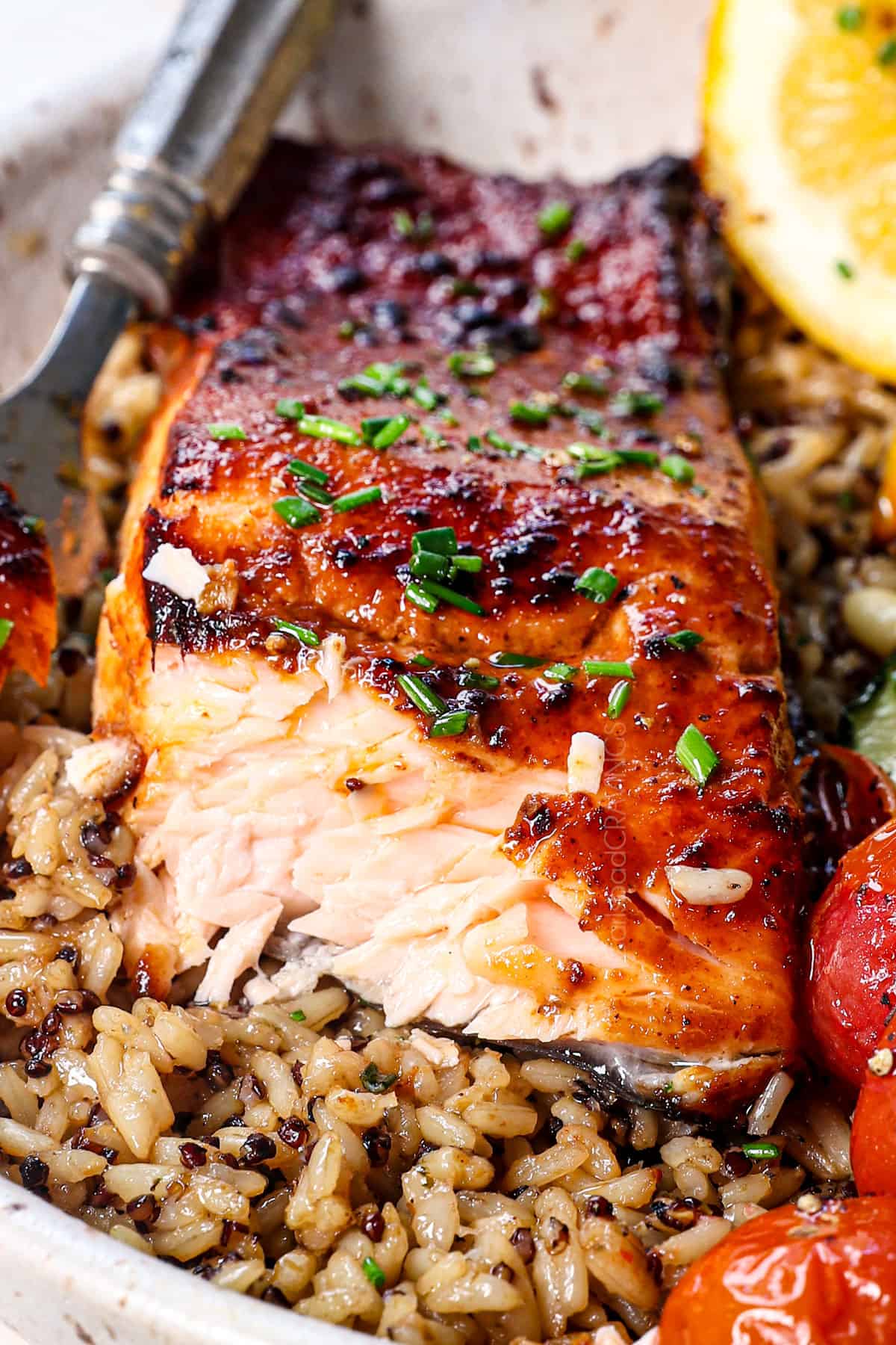 salmon air fryer with a bite taken out showing the juicy interior and caramelized exterior