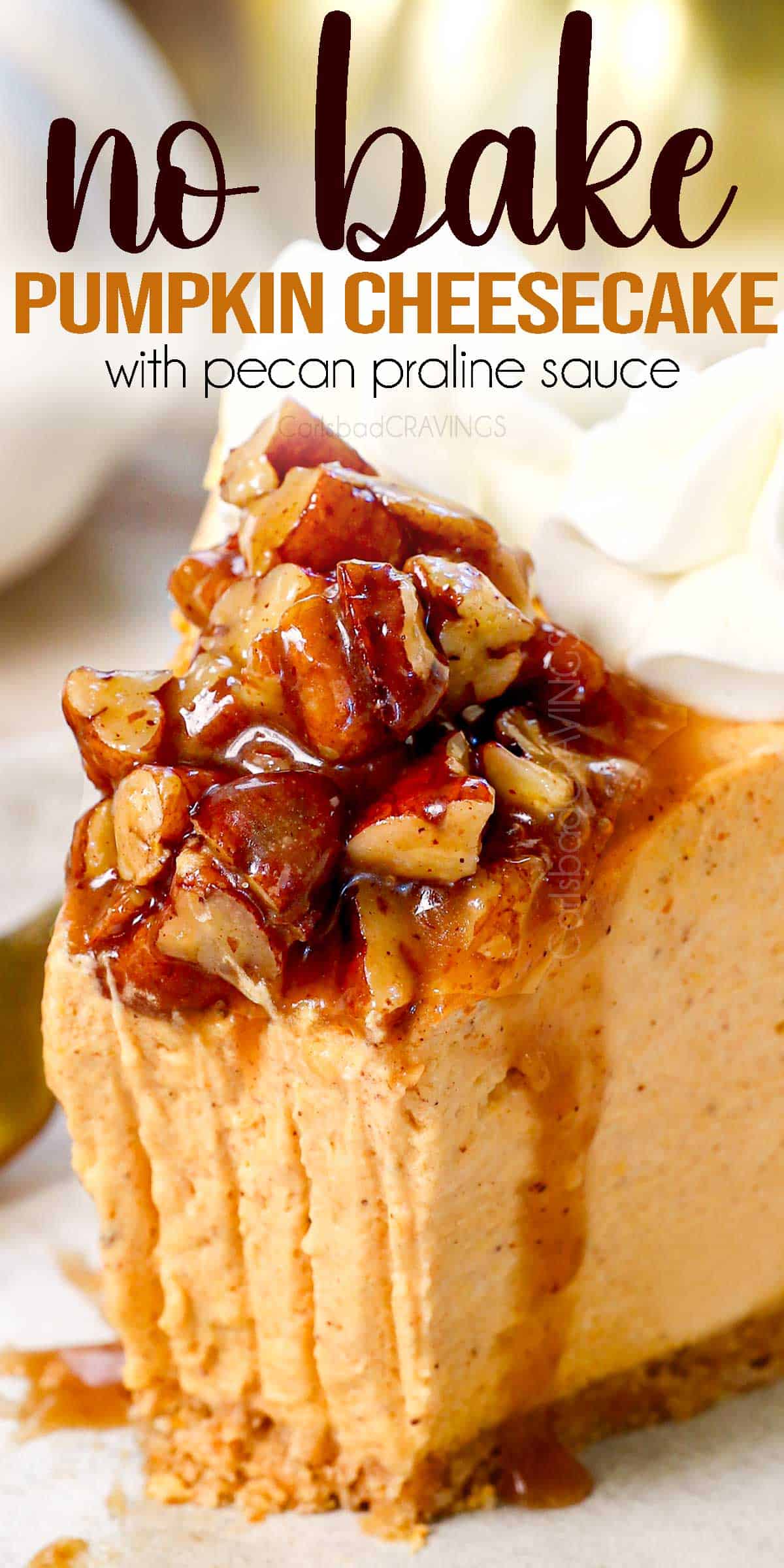 up close of No Bake Pumpkin Cheesecake with a bite taken out of a slice